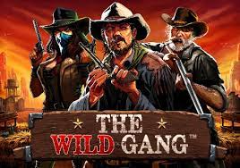 Análisis de la tragaperras The Wild Gang